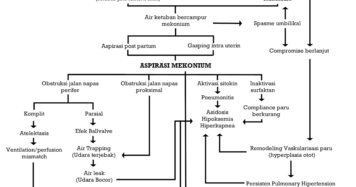 ASKEP ASPIRASI MECONIUM PDF DOWNLOAD ASKEP ASPIRASI MECONIUM PDF DOWNLOAD
